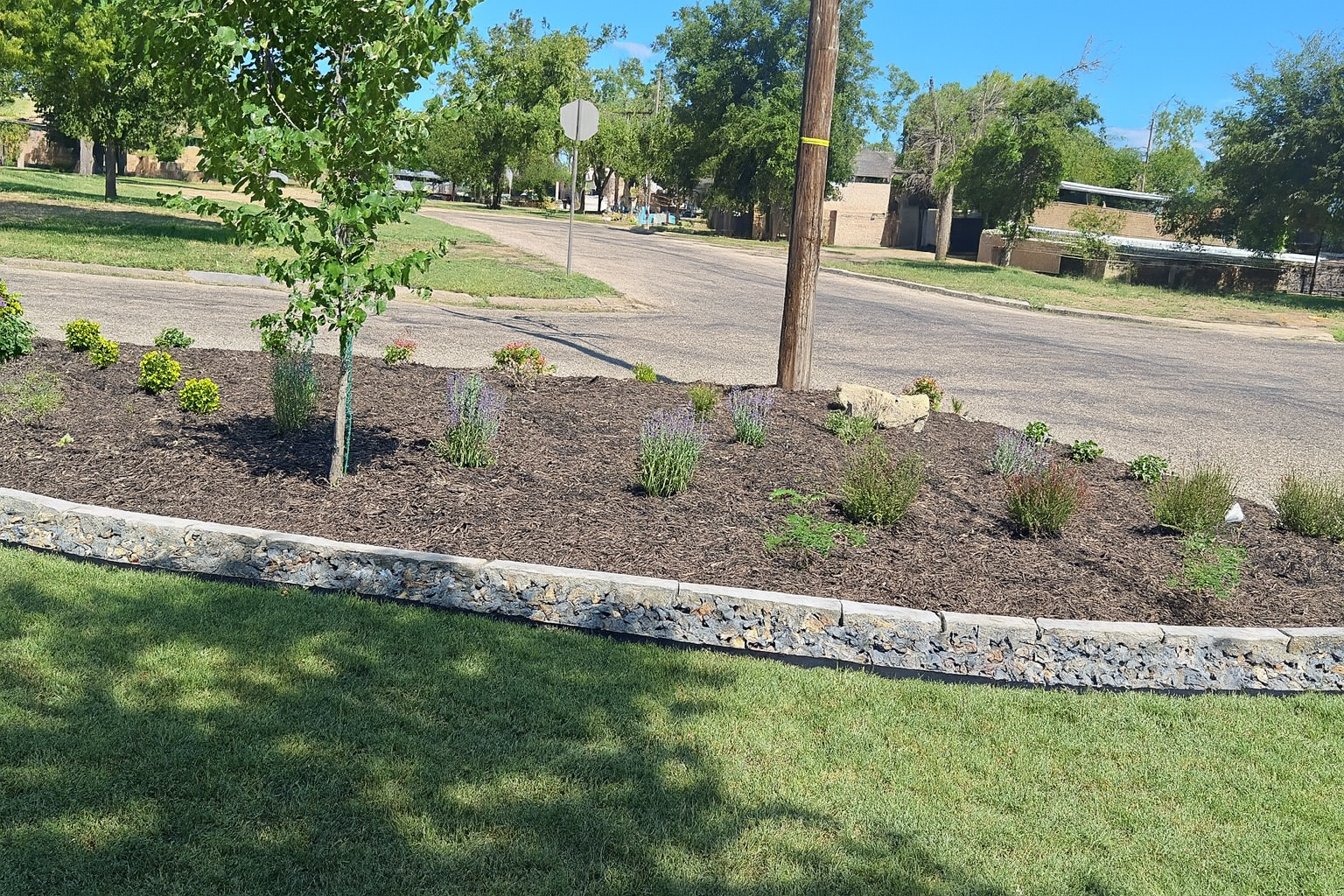 Landscape Installation