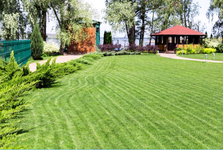 lawn.image.alt
