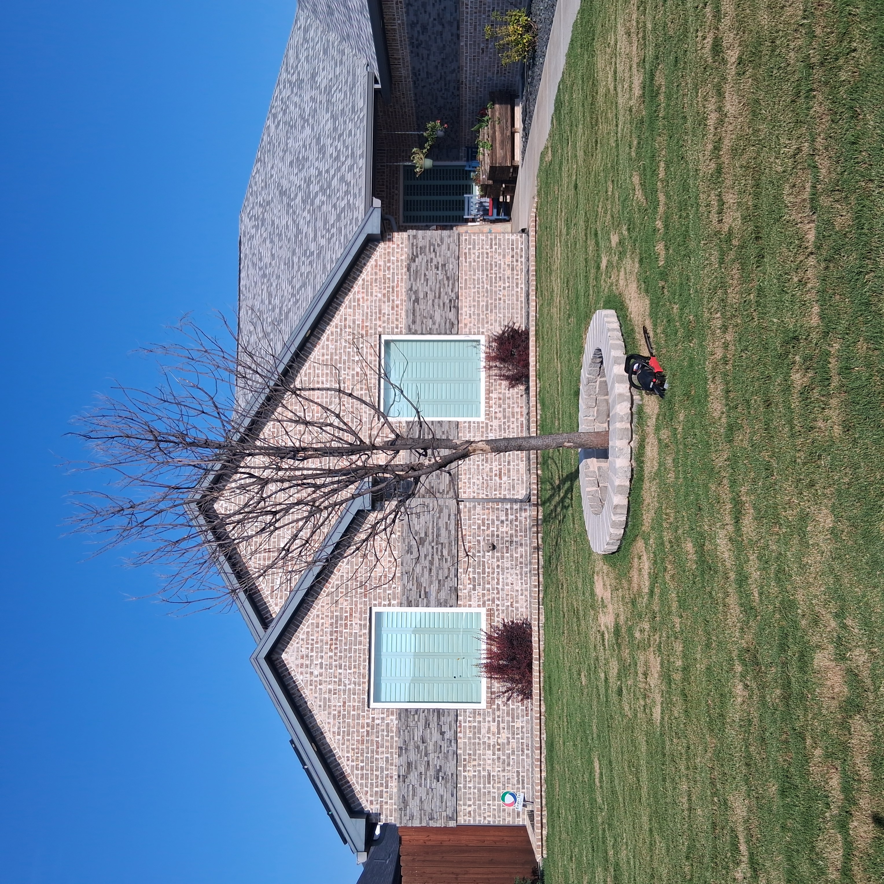 Tree Removal Project